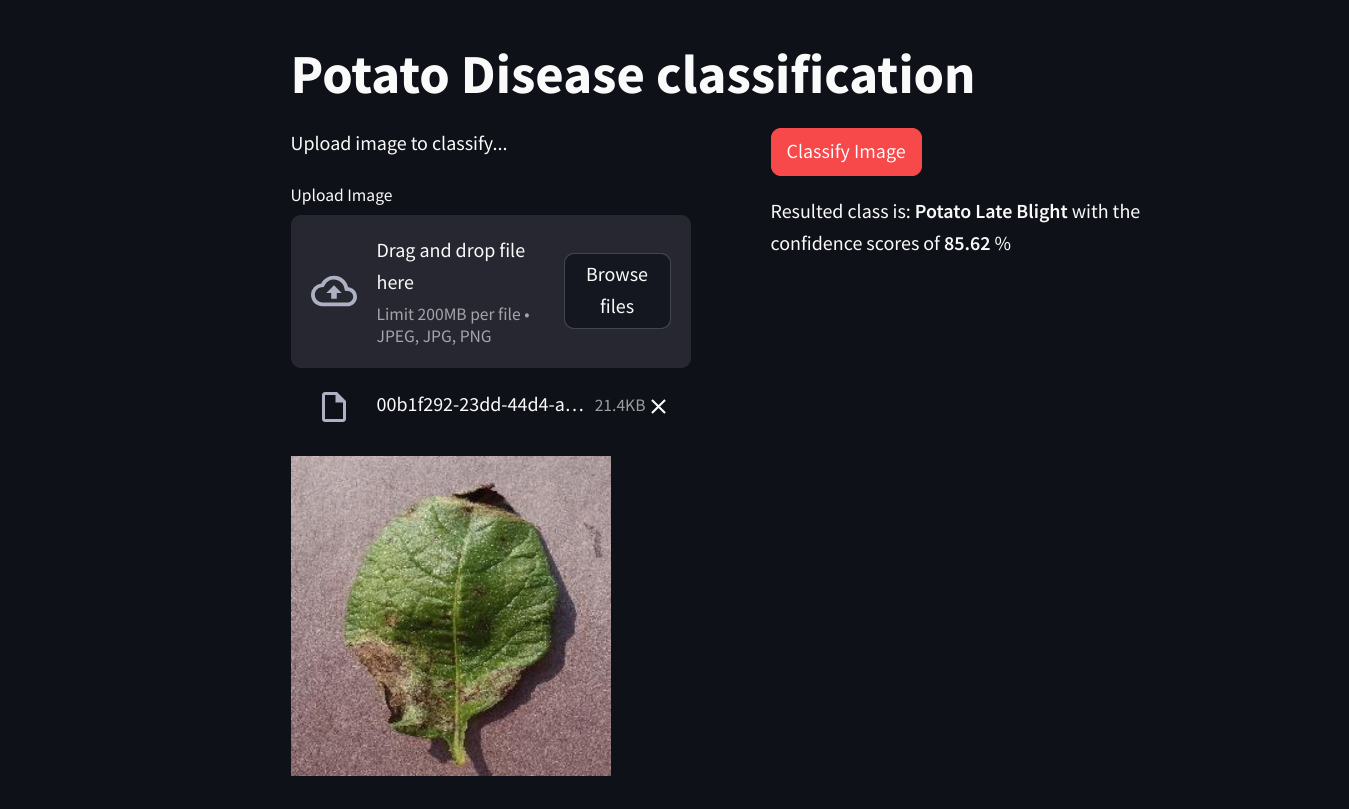 Potato Disease classification